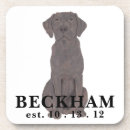 Recherche de chocolat labrador dessous de verres Brun