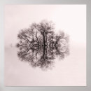 Recherche de arbres en noir et blanc posters Monochrome