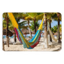 Recherche de cozumel magnete Palmiers