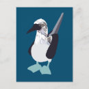 Recherche de oiseaux marins cartes postales Pour elle