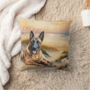 Recherche de malinois belges coussins Amoureux des chiens