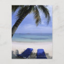 Recherche de chaise de plage cartes postales Palmier