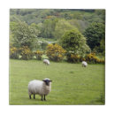 Recherche de campagne carreaux Colline