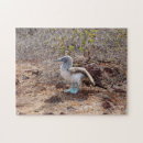 Recherche de denteux puzzles Nature