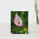 Recherche de arums Floral