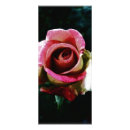 Recherche de rose cartes publicitaires Nature