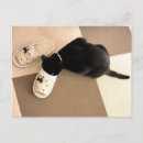 Recherche de sandale cartes postales Pieds