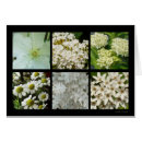 Recherche de de citrouille photographie Fleur