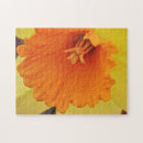 Recherche de jonquilles puzzles Orange