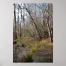 Recherche de marais posters Faune