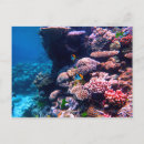 Recherche de mer de corail cartes postales Tropical