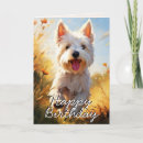 Recherche de terrier blanc Photo de chien