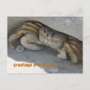 Recherche de grußkarte cartes postales Geburtstag