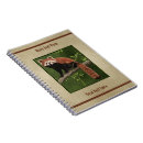 Recherche de pandas carnets Faune