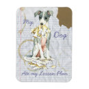 Recherche de levrier magnets Chiot