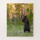 Recherche de la finlande puzzles Nature
