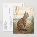 Recherche de chats tigrés cartes postales Amoureux des chats