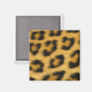 Recherche de taches magnets Léopard