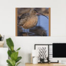 Recherche de long bec posters Nature