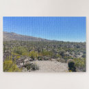 Recherche de saguaro puzzles Tucson