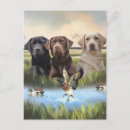 Recherche de labrador retriever noir cartes postales Extracteur