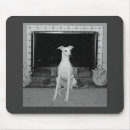 Recherche de whippet tapis souris Animaux