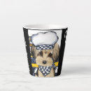 Recherche de poo tasses Yorkie