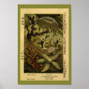 Recherche de medusa posters Vintage