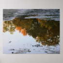 Recherche de flaque posters Automne