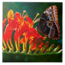 Recherche de morpho carreaux Fleur