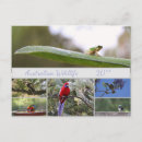 Recherche de de faune photographie Animaux