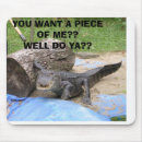 Recherche de reptiles tapis souris Alligators