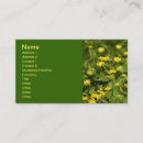 Recherche de natur cartes visite Fleurs