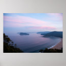 Recherche de grande vague posters Rose