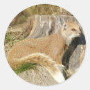 Recherche de mongolie autocollants Animal