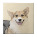 Recherche de pembroke welsh corgi carreaux Pour tous