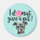 Recherche de pitbull magnete Animal