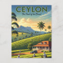 Recherche de la ceylan cartes postales Thé