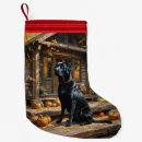Recherche de labradors chaussette de noël Laboratoire noir
