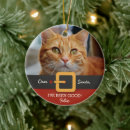 Recherche de humour de chat ornements Pour animaux