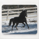 Recherche de cheval noir tapis souris Neige