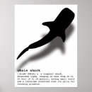 Recherche de requin baleine posters Plage