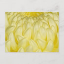 Recherche de monochromatique cartes postales Fleur