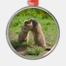 Recherche de chien de prairie ornements Sauvage