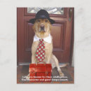 Recherche de labrador jaune cartes postales Amoureux des animaux