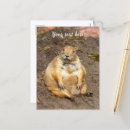 Recherche de carte de remerciements cartes postales Mignon