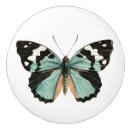Recherche de papillon boutons et poignées de porte insecte