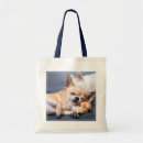 Recherche de purebreed sacs Dog