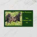 Recherche de cheval frison bureau école Frisons