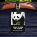 Recherche de panda bagages étiquettes Chine
